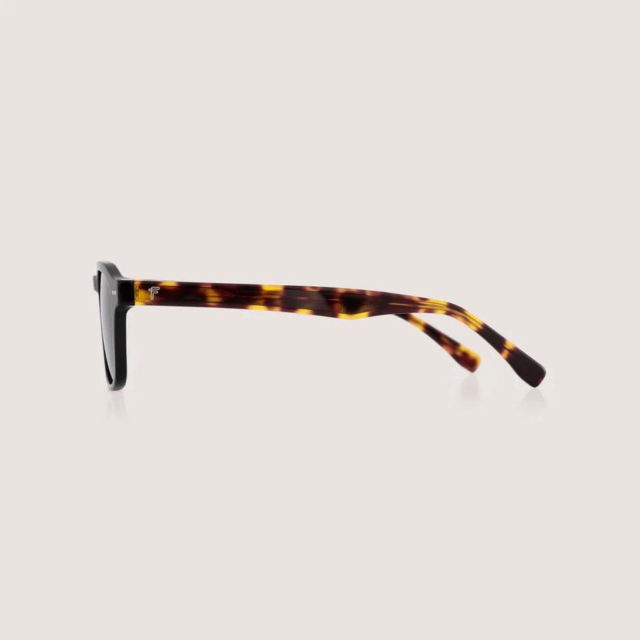 NOVA SUNGLASSES